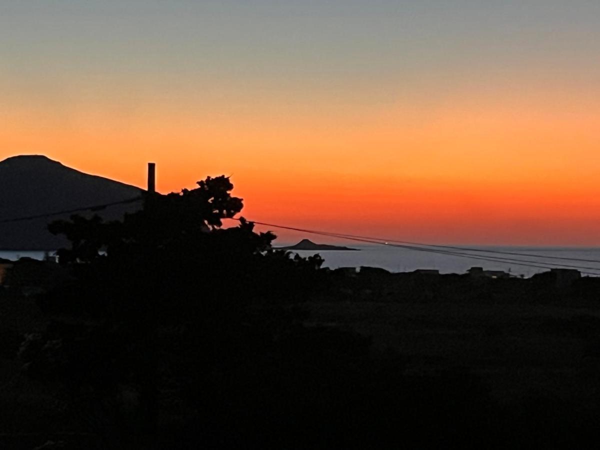 Il Giardino Della Falena Villa Favignana Luaran gambar